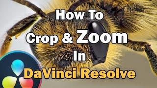 How To Crop And Zoom In DaVinci Resolve