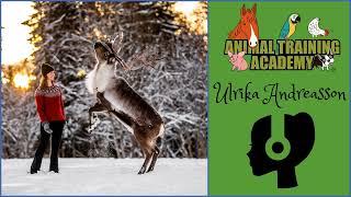 Ulrika Andreasson: Clicker Training Reindeer & Beyond [Episode 240]