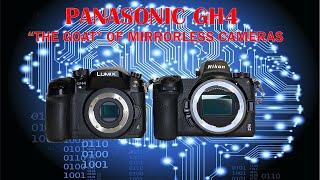 Panasonic GH4 Still the “GOAT” in 2022 | Micro Four Thirds Rules?