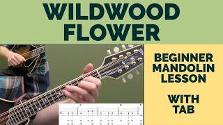 Wildwood Flower | Beginner Bluegrass Mandolin Lesson With Tab