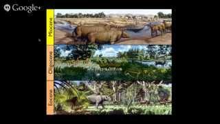 phyloseminar #34: Graham Slater, National Museum of Natural History