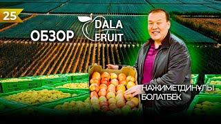 10 000 тонн яблок в год: история успеха компании DALA-FRUIT.KZ