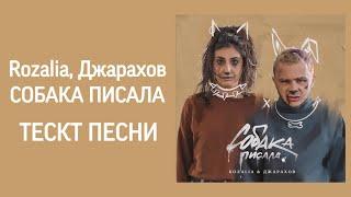 Rozalia, Джарахов-СОБАКА ПИСАЛА Текст Песни (Караоке)