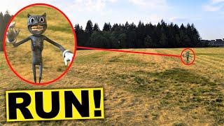 My DRONE caught CARTOON CAT on camera!! (CARTOON CAT SIGHTING CAUGHT ON DRONE)