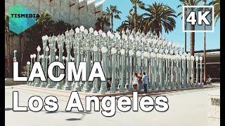 【4K】Walking around LACMA in Los Angeles, California, United States on September 2021