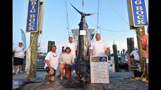 TOP DOG 914lb Blue Marlin is the Big Rock Tournament Record