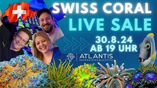  Swiss Coral Live Sale  Live von ATLANTIS Meerwasseraquaristik am 30.8.24 ab 19 Uhr