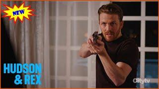 Hudson & Rex 2024 | Fanning the Flames | Hudson & Rex New Episodes 2024 Full HD