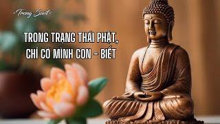 TRONG TRẠNG THÁI PHẬT, CHỈ CÓ MÌNH CON - BIẾT | Trong Suốt