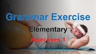 Grammar Exercise Elementary - Adjectives 1