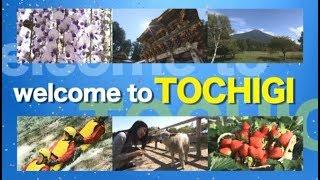 栃木県観光PR動画「ようこそ！栃木へ（WELCOME  TO  TOCHIGI！）」