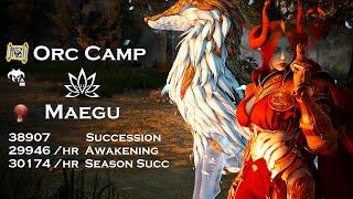BDO | Orc Camp 30-38.9k (L2, Agris Fever on Orgs) | Succession & Awakening Maegu