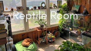 How To Set Up A Reptile Room! (Tips & Tricks)