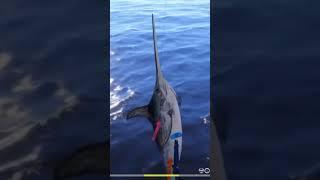 Русская Рыбалка 4! Норвежское Море. Рыба-Меч! РР4 #rf4 #fishing #русскаярыбалка4 #fish