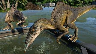 Jurassic World Evolution - 2 Spinoraptor & 2 Baryonyx Breakout & Fight! (1080p 60FPS)