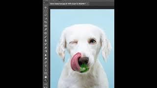 Magic of Clone Stamp tool in Photoshop #photoshop #photoshop_tutorial