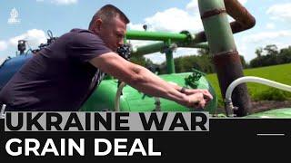 Farming in wartime: Ukraine farmers impacted by the conflict