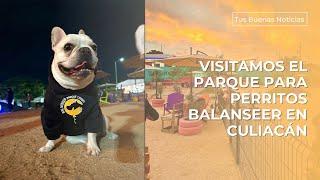 Así es el Parque Canino Balanseer Diseñado Especialmente Para Perritos en Culiacán.