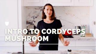 Cordyceps Mushroom Health Benefits & Uses | Guide to Cordyceps Sinensis | Erbology