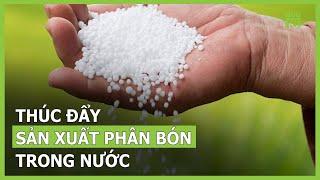 Thúc đẩy sản xuất phân bón trong nước | VTC16