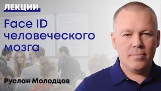 Фейс айди мозга человека