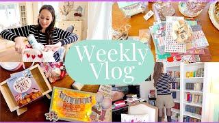 ️ Weekly VLOG I Kleiner ACTION & DM Haul ️  I Bücherschrank aufräumen  ️