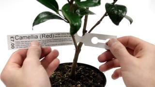 How to: Printing Self Tie Loop Lock Labels for Plants