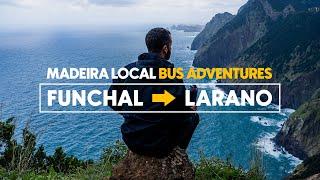 Vereda do Larano & Boca do Risco Viewpoint - MADEIRA LOCAL BUS ADVENTURES