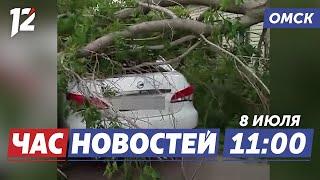 Дерево упало на автомобиль / День семьи / Уличное кино. Новости Омска