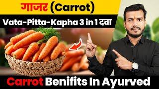 331 #Gajab Ka Hai Gajar:Vata-Pitta-Kapha Tino Ki Hai Dawa||Carrot Benifits In Ayurved