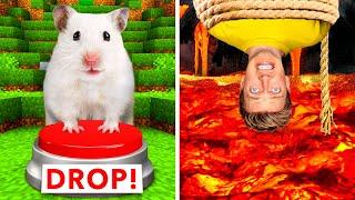 Hamster Maze vs Human Traps  World’s Most Extreme Elimination Game! Last To Survive Minecraft Wins
