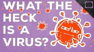 Are Viruses Alive?