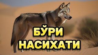 БЎРИ НАСИХАТИ РИВОЯТ