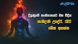 දියුණුවේ සංඛ්‍යාතයට එන විදිය | Meditation | Jayspot Motivational video