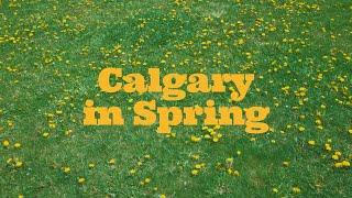 Calgary in Spring