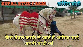 देख लो कैसे तैयार करते हैं आरिफ भाई अपनी घोड़ी शादी के लिए - Rupal Stud Farm (Gujrat)