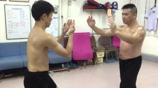 Chow Gar Mantis Kung Fu             Master Hang Ng 's students training