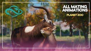 ️ ALL MATING RITUAL ANIMATIONS: Planet Zoo ️ (2025)