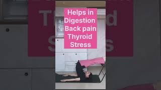 Halasana   Digestion Back Pain & Thyroid | A4L #yoga #challenge #thyroid #backpain