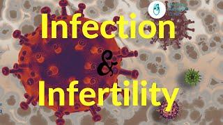 How Does Infections cause Male Infertility? #Maleinfertility #IVFinMumbai