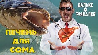 Печень лучшая насадка на сома? | Виталий #Дальке о рыбалке 14