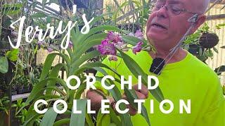 Jerry's Orchid Collection. How he sterilizes his clippers. ORCHID MOVING SALE.