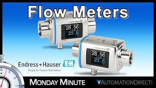 Endress+Hauser Picomag Flow Meters - Monday Minute at AutomationDirect