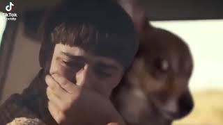 stranger things but will crying near of confused dog