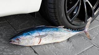 Crushing Crunchy & Soft Things by Car Big FISH vs CAR Satisfying videos