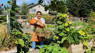 Epic Garden Harvest of Homegrown Wheat and SO Much MORE!