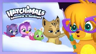 Puppit Hatches & So Much More | Adventures in Hatchtopia | Cartoons for Kids