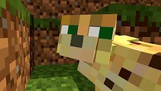 Ocelot Life - Wolf Life - Witch Life - Top Life Animations I -  Minecraft Animation