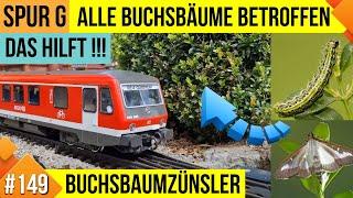 Unsere LGB Gartenbahn #149, Buchsbaumzünsler zerstört unsere Anlage, das hilft!!!