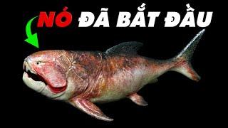 #938 Con Quái Vật Đã Tạo Ra Nỗi Sợ Biển Sâu - Thalassophobia!!!